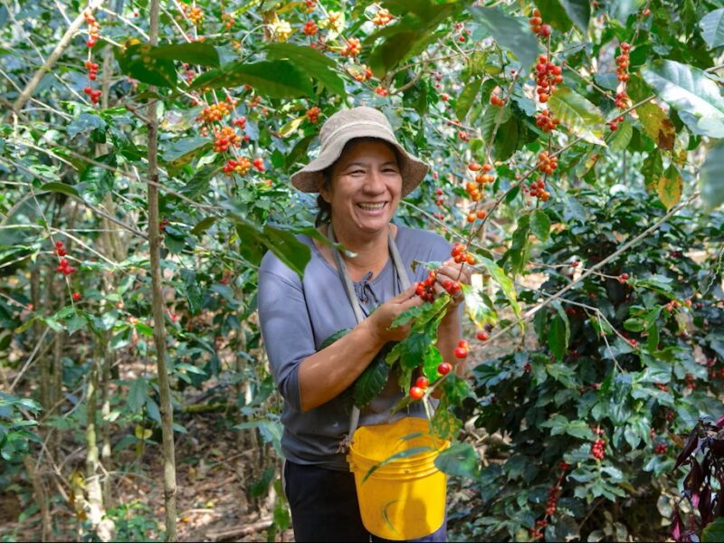 Smiling man picking produce from plants