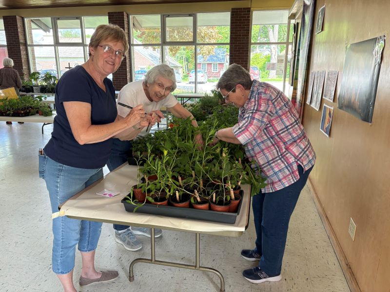 3 ladies working with plants