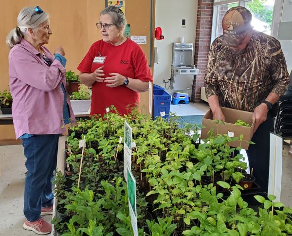 three people talking at table filled with plants
